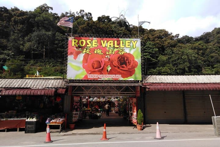 Cameron Highland Private Day Tour