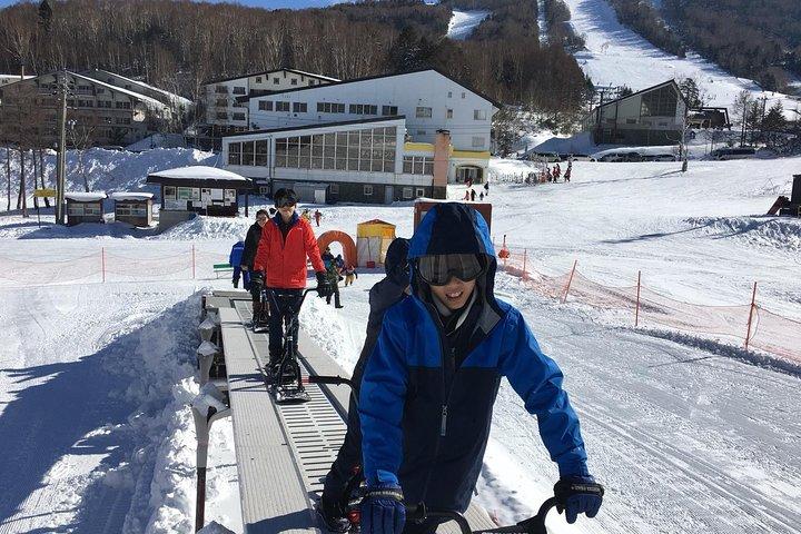 1-Day Snow Monkeys & Snow Fun in Shiga Kogen Tour