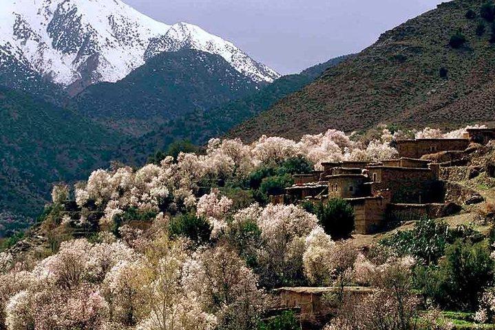 Small Group Day Tour to Ourika Valley from Marrakech