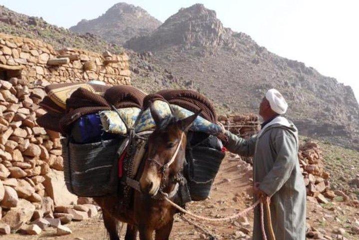 Small Group Day Tour to Ourika Valley from Marrakech