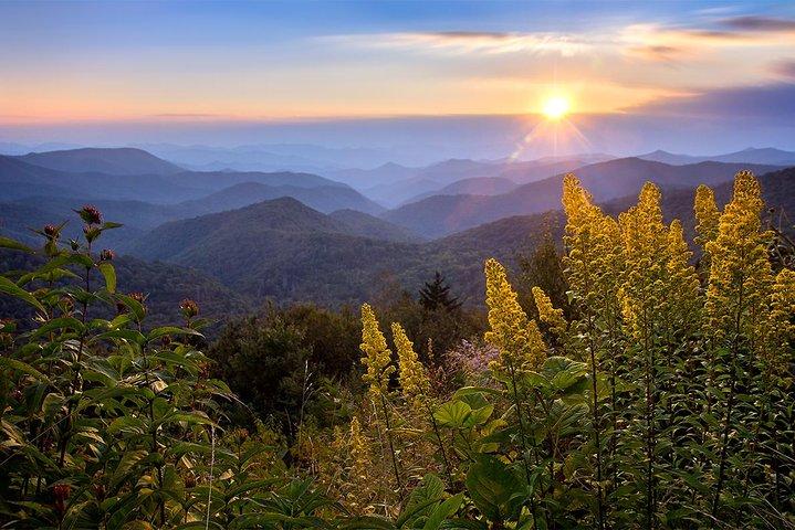 Custom Half-Day Photo Tour with Photography Lessons from Asheville