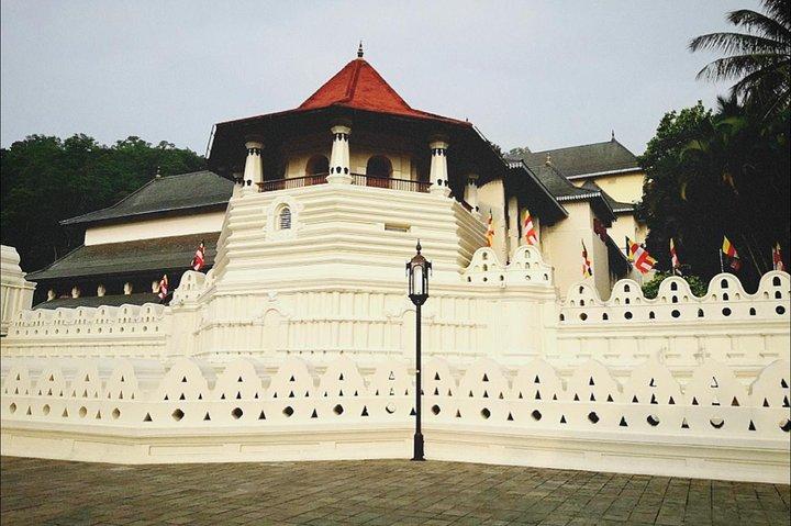 All in one Sri lanka 7nights 8 days for couple price