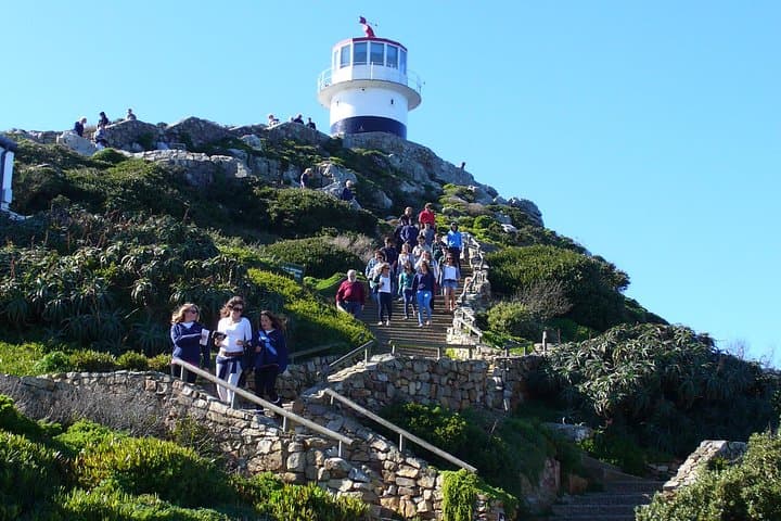 Private Cape Peninsula Tour