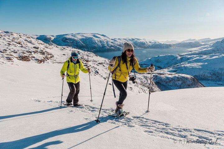 Tromso Snowshoeing - Valley, Fjord Views, Wildlife, Meal & Pickup