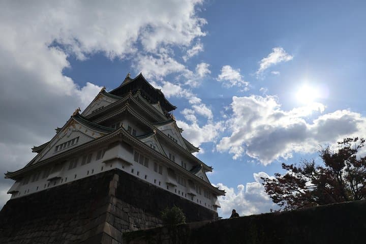 5-Hour Osaka Bike Tour to the Neighborhood of Osaka Castle