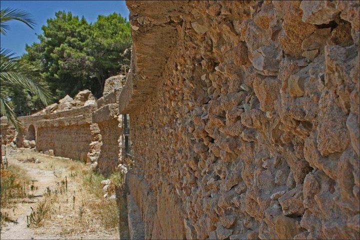 Historical Tour of Ancient Carthage
