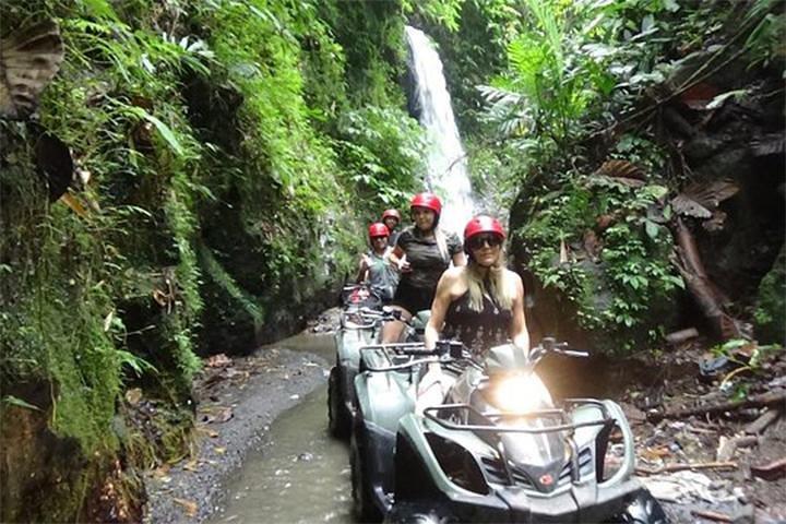 KUBER ATV UBUD - Tunnel Waterfall Rice field Jungle w Private Car