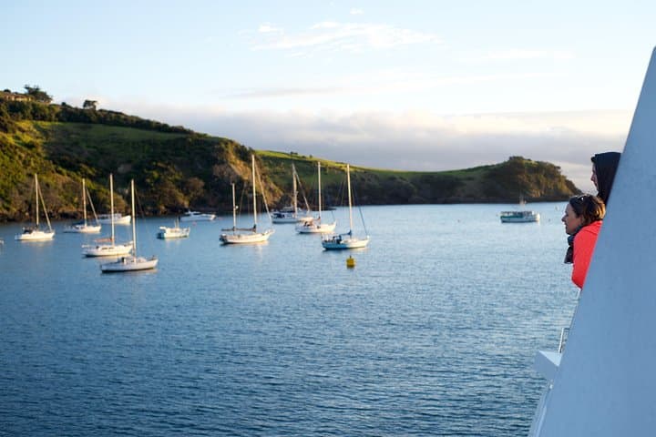 Waiheke Wine and Dine - Batch Winery