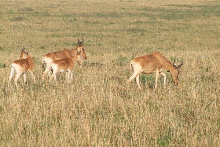 2 Days Tsavo East and West