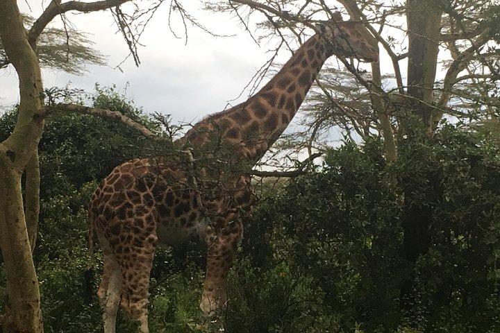 2 Days Tsavo East and West