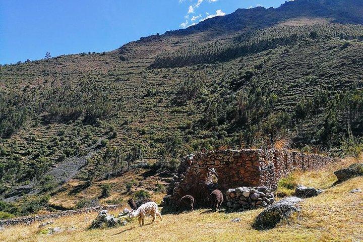 Sacred Valley tour (Day Trip)