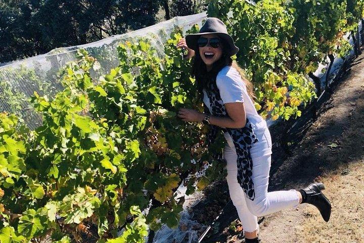 Valleys of Vino Full Day Tour