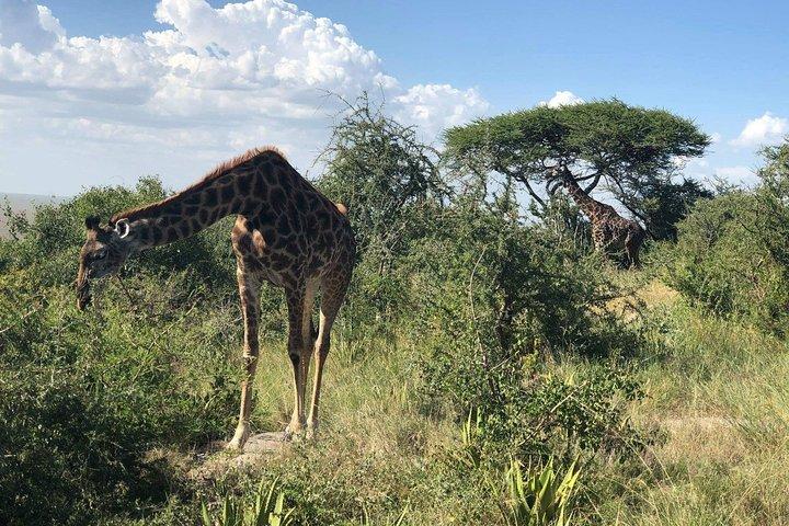 5 Days Tanzania Safari - Migration and Big 5 Safaris