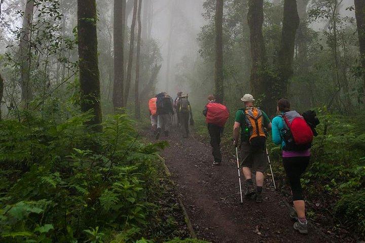 Mt Kilimanjaro Day Hike