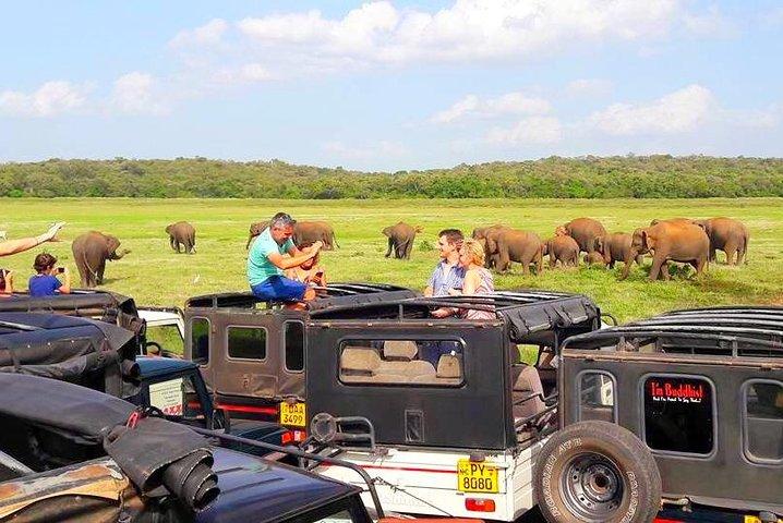 trip sri lanka (10 Days , 9 Nights) with driver, vehicle and H/B accommodations