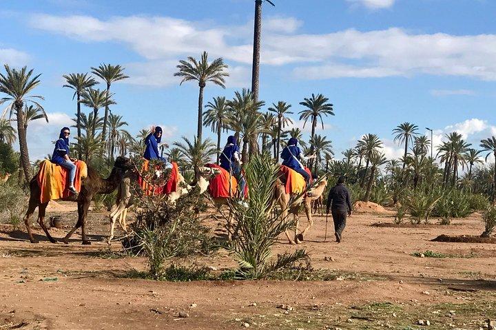 Marrakech Airport Transfers