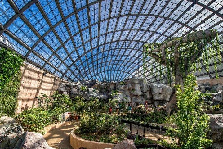 Entopia Butterfly Farm And Tropical Spice Garden Tour