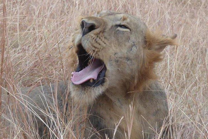3 days Queen Elizabeth National Park Uganda Safari