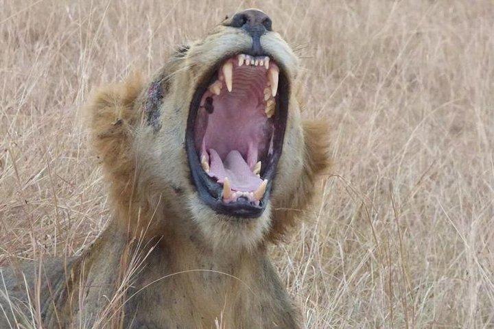 3 days Queen Elizabeth National Park Uganda Safari