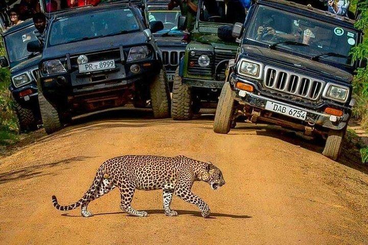 Sri Lanka private tour package 9 night 10 Day with driver+vehicle+accommodations