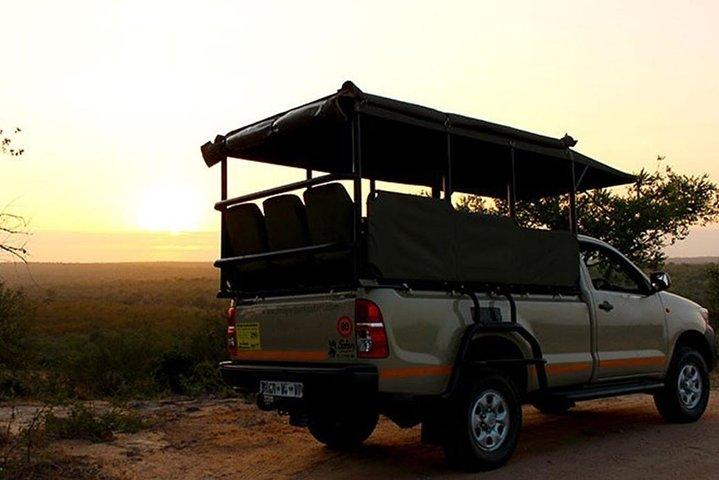 Full Day Kruger Park Safari From Hazyview