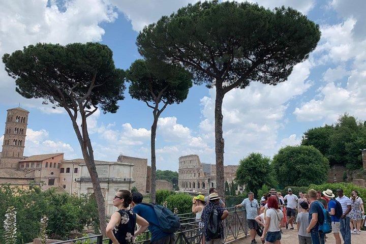Palatine Hill Tour With The Roman Forum