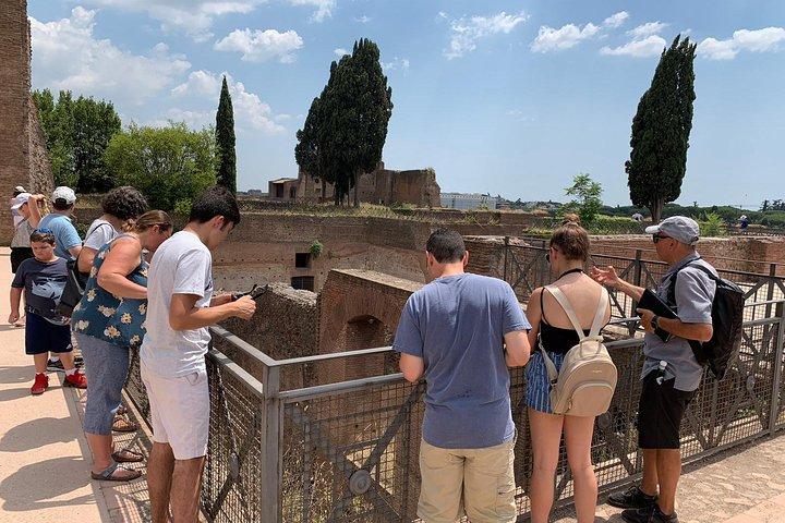 Palatine Hill Tour With The Roman Forum