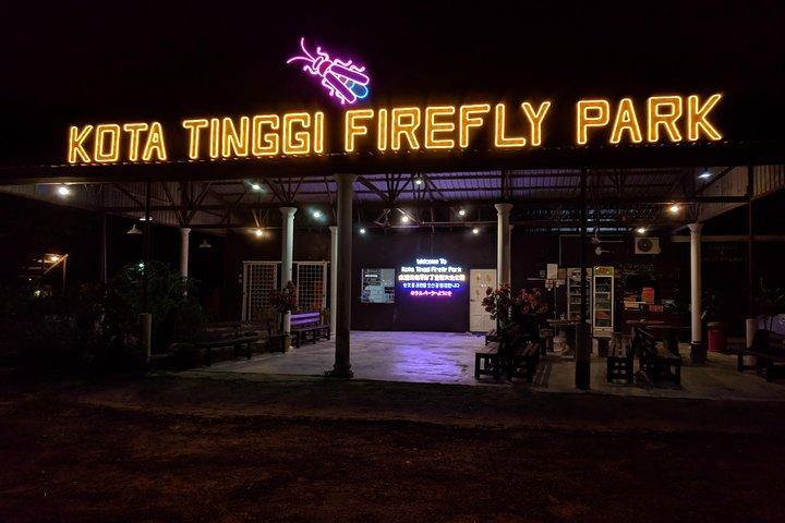 Firefly Tour Johor Bahru@Kota Tinggi Firefly Park