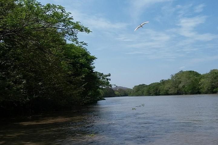 Wildlife Tour at Palo Verde National Park
