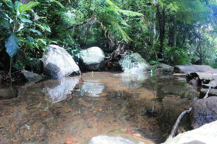 Sinharaja' rainforest - Adventure Tour (Full day)