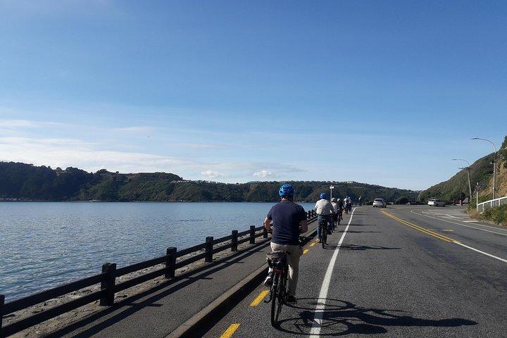 Wellington Guided eBike Tour-Cruise Shore Excursion