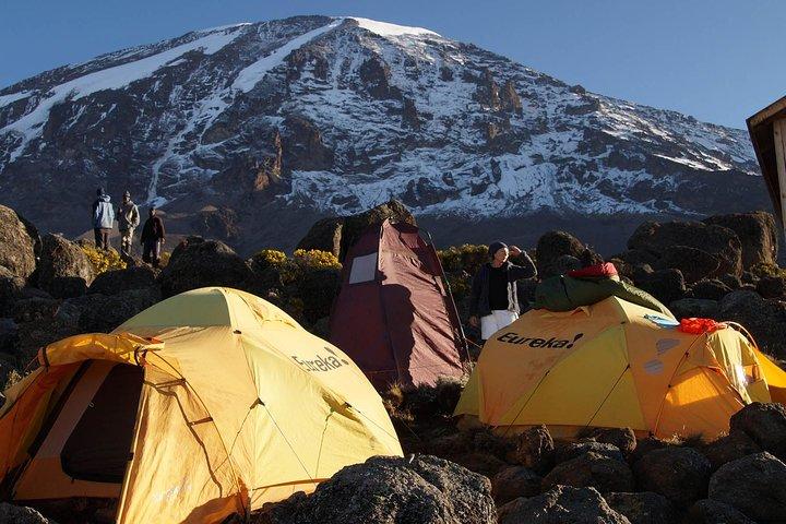 Kilimanjaro-lemosho Route 8 Days Itinerary