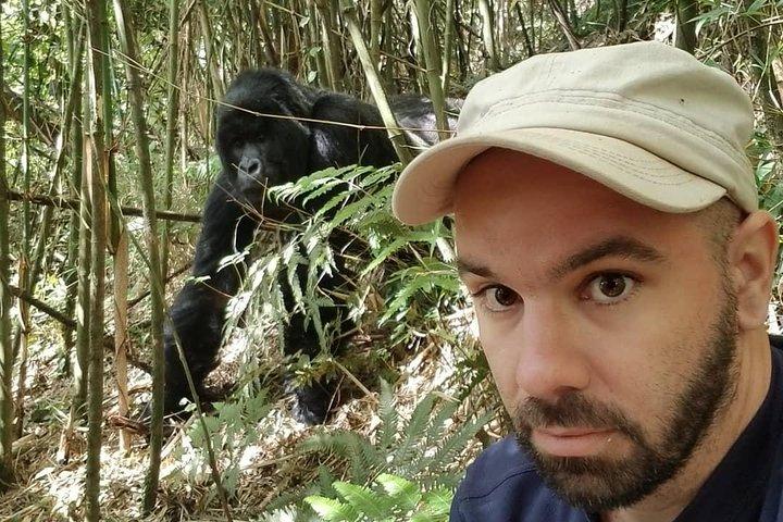 From Kigali: 10 Hour Day-trip Rwanda Gorilla Trekking with Lunch