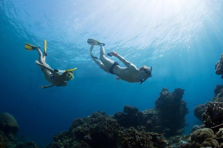 Snorkeling Tour at Land's End in Cabo San Lucas