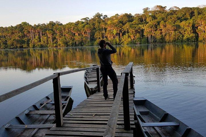 Best of Tambopata 2 nights by JunglePro