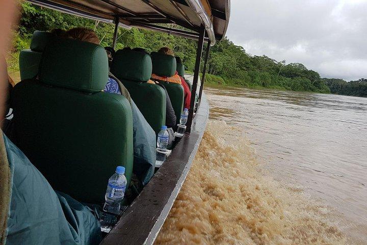 Best of Tambopata 2 nights by JunglePro