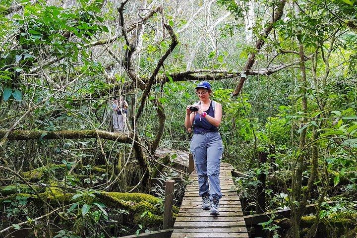 Best of Tambopata 2 nights by JunglePro