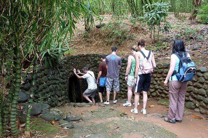 Chu Chi Tunnel With Cao Dai Temple Tour From Ho Chi Minh