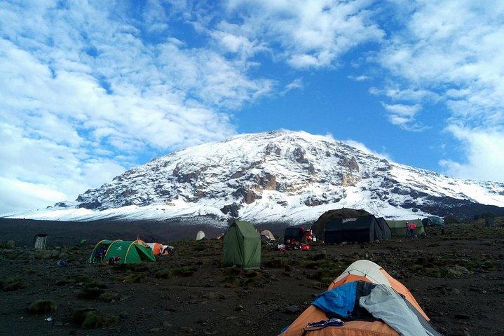 8 days Lemosho route Climbing Mt. Kilimanjaro