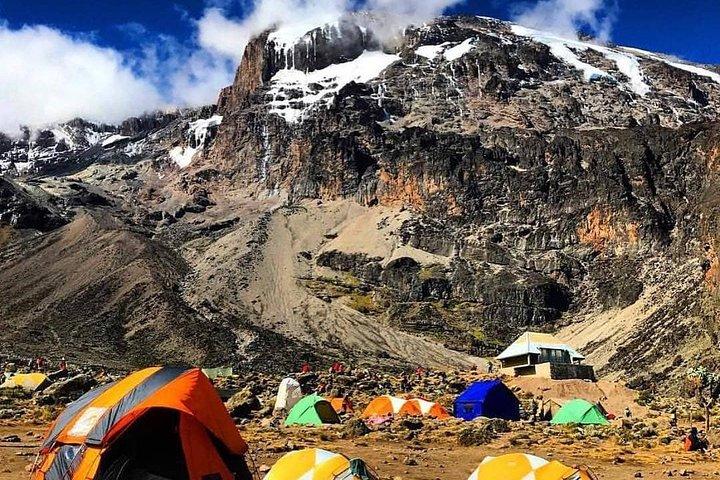 8 days Lemosho route Climbing Mt. Kilimanjaro