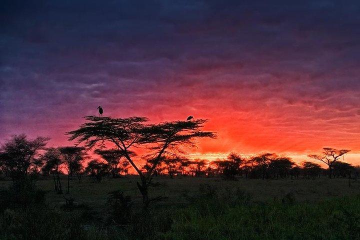 3 days Safari to Serengeti and Ngorongoro crater