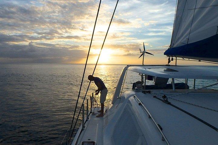 Afternoon Luxury Catamaran Sailing and Charter Cruise from Bridgetown