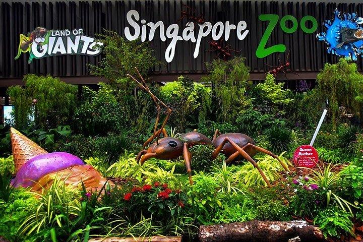 1 Day 2 Attraction Pass ( Tickets & transfer )