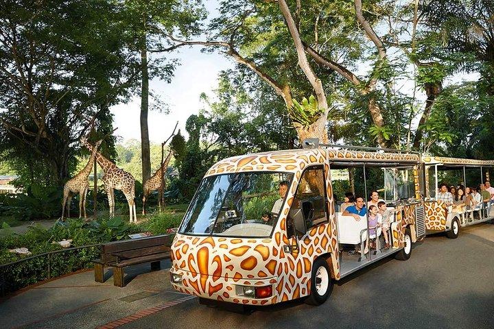 1 Day 2 Attraction Pass ( Tickets & transfer )