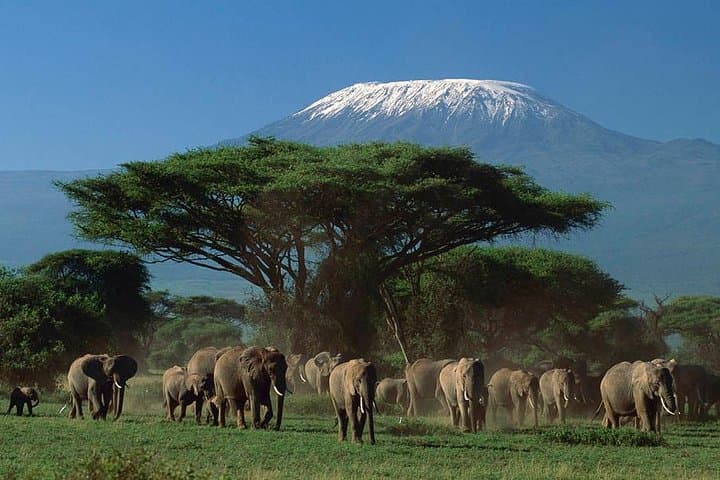 3 Days Amboseli National Park Safari
