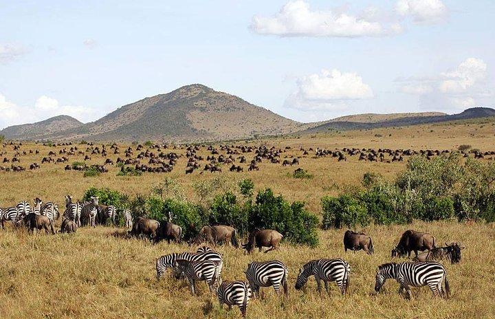 4 Days Amboseli Naivasha