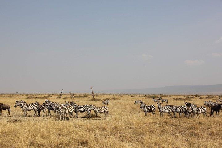7 Days Samburu, Mt Kenya, Lake Nakuru Masai Mara