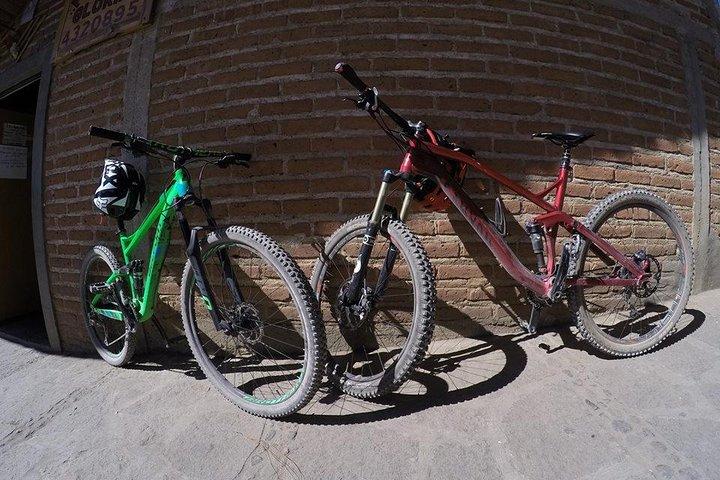 Mountain Biking Tour at La Primavera Forest