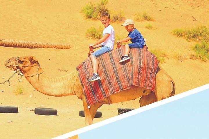 Dubai Desert 4x4 Dune Bashing, Sandboarding, Camel Riding, Dinner