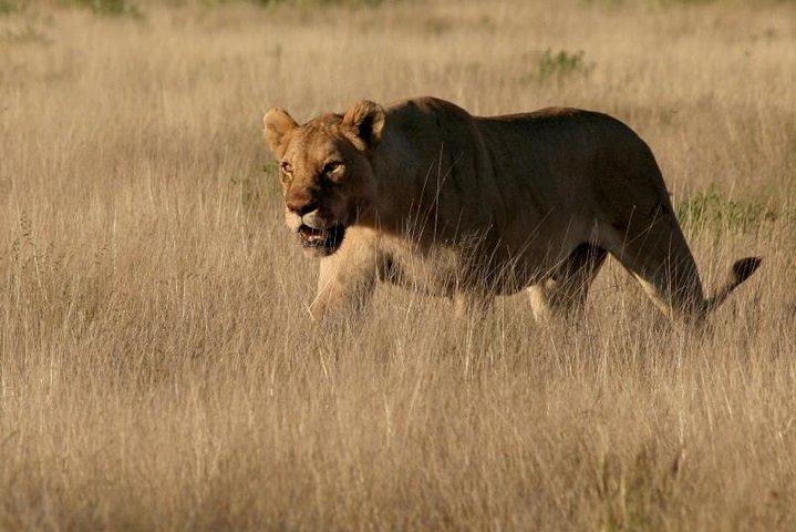 10-Day Namibia Highlights Guided Tour from Windhoek
